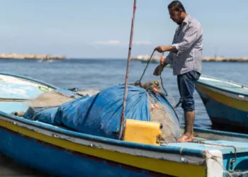 Créditos: UNRWA/Tamer Hamam