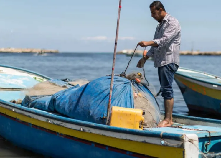 Créditos: UNRWA/Tamer Hamam