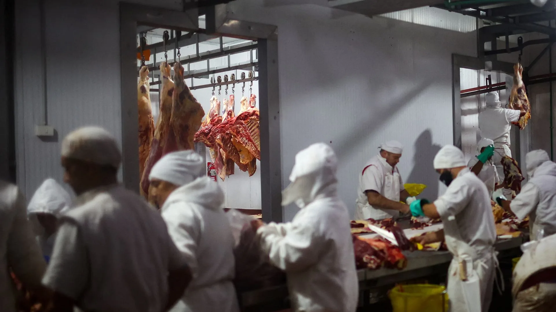 Trump cuadruplica la cuota arancelaria de importación de carne argentina: una medida con impacto regional