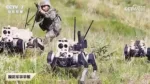 La cadena estatal china China Central Television retransmitió un ejercicio del Ejército Popular de Liberación de China en el que se utilizaban «robots lobo» de cuatro patas.