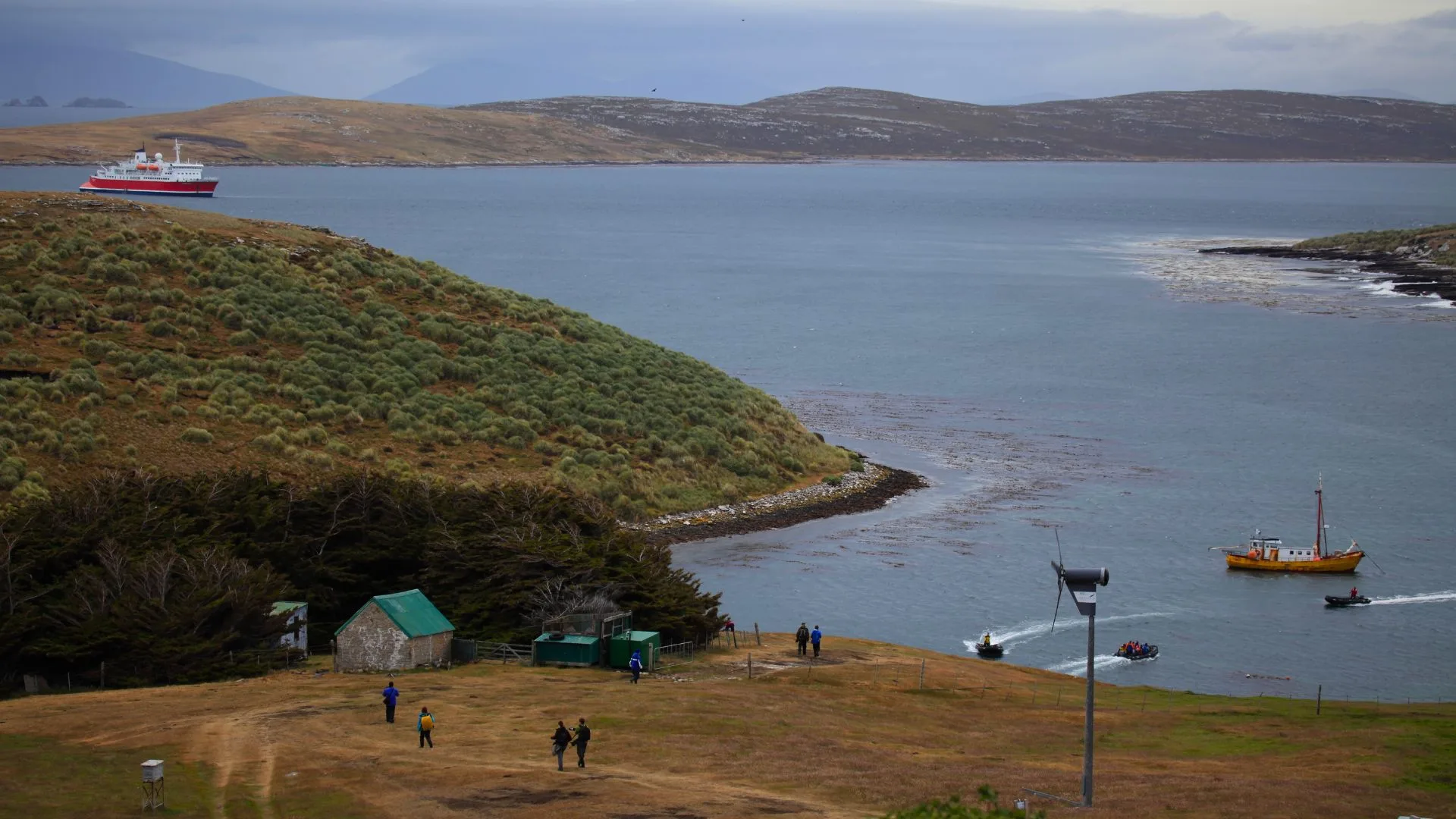 Ex asesor británico propone usar las Islas Malvinas como campo de asilo para inmigrantes ilegales en el Reino Unido