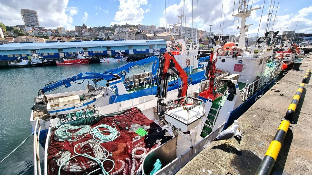 Pesqueros en el puerto de Vigo, en una imagen de archivo Oscar Vázquez