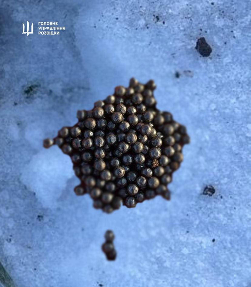 Esta imagen, proporcionada por GUR, aparentemente muestra los restos parciales de un Geran-5. Dirección de Inteligencia de Defensa de Ucrania (GUR)