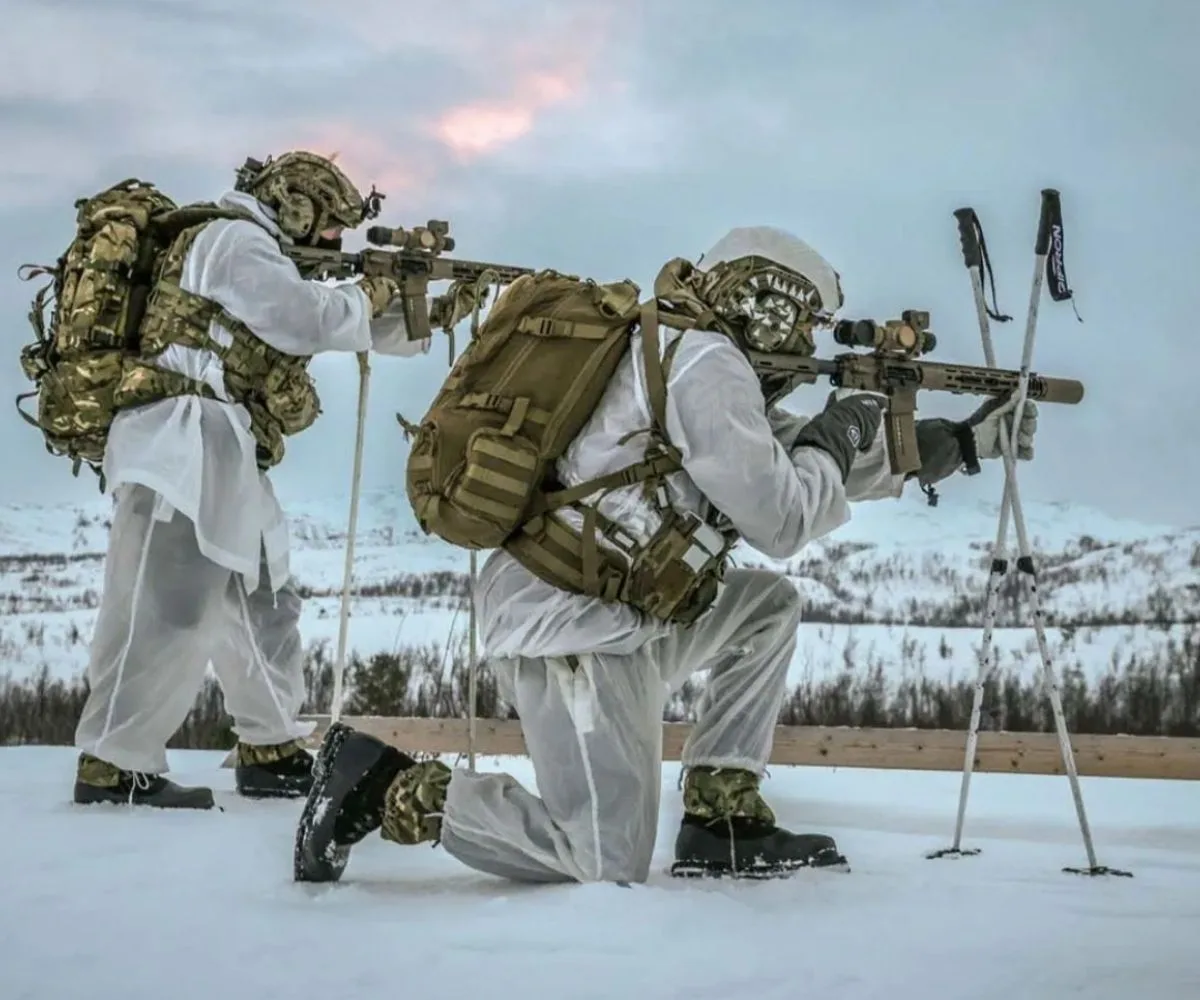 Royal Marines en el Ártico