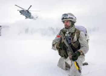 Royal Marines en el Ártico