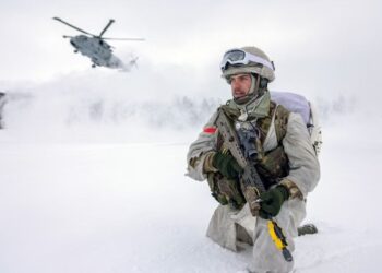 Royal Marines en el Ártico