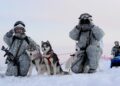 Los miembros de la unidad de reconocimiento de la brigada de infantería mecanizada ártica de la Flota del Norte realizan ejercicios militares y aprenden a conducir un trineo tirado por perros. Foto: Lev Fedossev