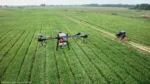 Los drones monitorean las condiciones del campo agrícola en tiempo real. Crédito: DJI Agras Pixabay