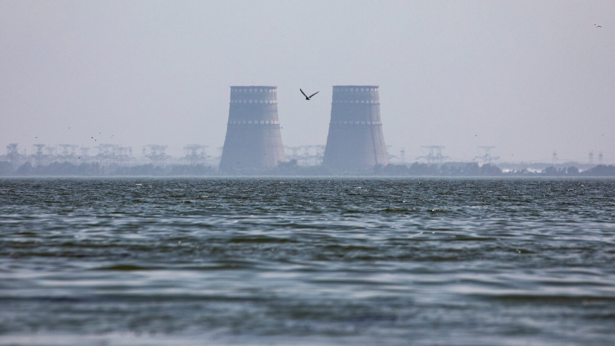 central nuclear