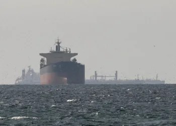 Buques de carga en el Golfo, cerca del Estrecho de Ormuz, vistos desde el norte de Ras al-Khaimah, cerca de la frontera con la gobernación de Musandam en Omán, en medio del conflicto entre EE. UU. e Israel con Irán, en Emiratos Árabes Unidos, 11 de marzo de 2026. (Reuters/Stringer//Foto de archivo)