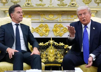 El secretario general de la OTAN, Mark Rutte, reconoció recientemente que el presidente estadounidense Donald Trump está "claramente decepcionado". Créditos/Archivo.