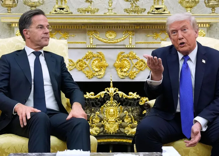 El secretario general de la OTAN, Mark Rutte, reconoció recientemente que el presidente estadounidense Donald Trump está "claramente decepcionado". Créditos/Archivo.