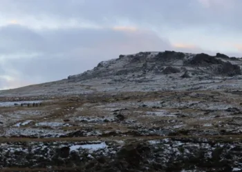 2.º Escuadrón de Apoyo Cercano en el ejercicio militar en las Islas Malvinas. Crédito: 1.º Regimiento RLC