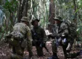 JGSDF describe su participación en el ejercicio trilateral “Southern Jackaroo 24” con EE.UU. y Australia, centrado en entrenamiento de búsqueda y destrucción en jungla para mejorar capacidades anti-guerrilla y de comandos. Créditos: Japan Ministry of Defense.