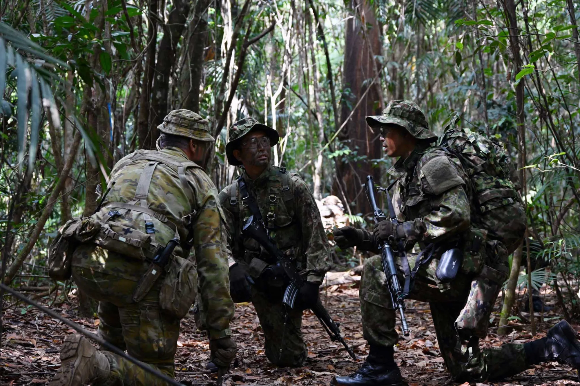 JGSDF describe su participación en el ejercicio trilateral “Southern Jackaroo 24” con EE.UU. y Australia, centrado en entrenamiento de búsqueda y destrucción en jungla para mejorar capacidades anti-guerrilla y de comandos. Créditos: Japan Ministry of Defense.
