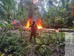 El Ejército del Perú publicó un anuncio sobre un operativo conjunto con la PNP y la Fiscalía contra minería ilegal en Tambopata, Madre de Dios, donde se interdictaron balsas, maquinaria y material valorado en más de S/ 11 millones. Créditos: Ejército del Perú.
