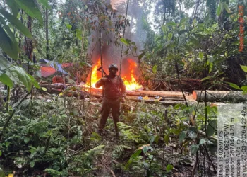 El Ejército del Perú publicó un anuncio sobre un operativo conjunto con la PNP y la Fiscalía contra minería ilegal en Tambopata, Madre de Dios, donde se interdictaron balsas, maquinaria y material valorado en más de S/ 11 millones. Créditos: Ejército del Perú.