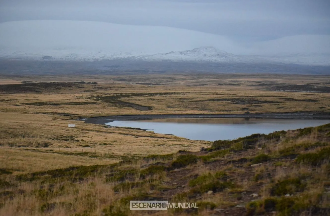 Pradera del Ganso, Islas Malvinas. Crédito: Alejo Sanchez Piccat / Escenario Mundial