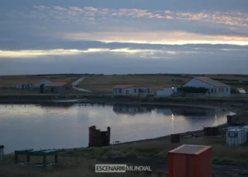 Pradera del Ganso, Islas Malvinas. Crédito: Alejo Sanchez Piccat / Escenario Mundial