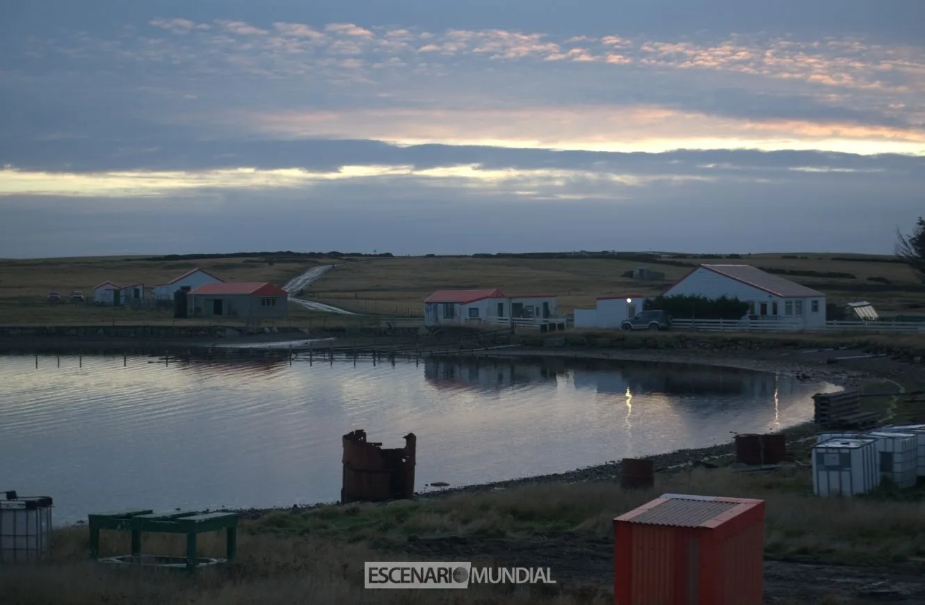 Pradera del Ganso, Islas Malvinas. Crédito: Alejo Sanchez Piccat / Escenario Mundial