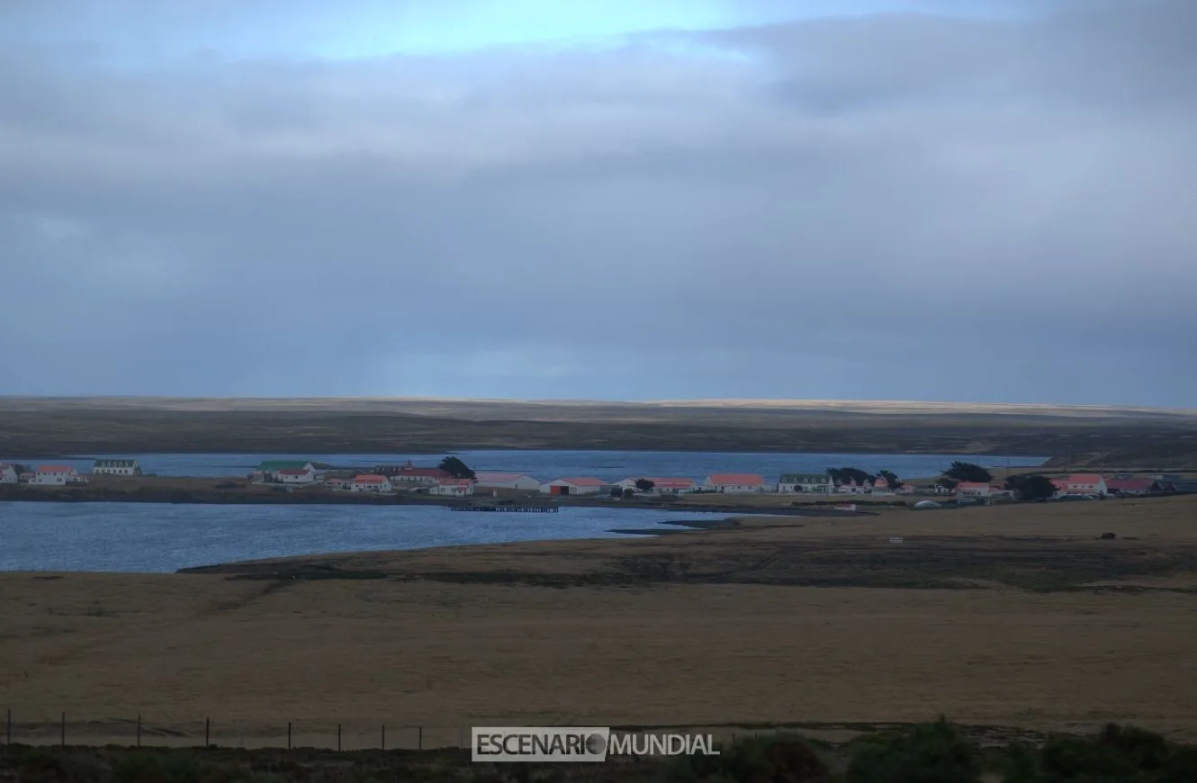 Pradera del Ganso, Islas Malvinas. Crédito: Alejo Sanchez Piccat / Escenario Mundial