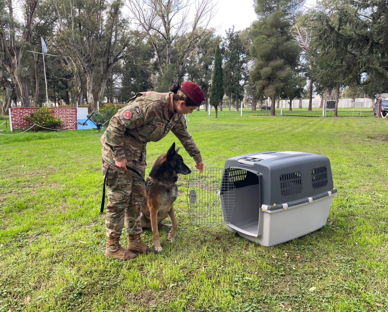 El Ministerio de Defensa argentino anuncia el despliegue de la Armada con personal especializado, binomios perro-guía y una brigada para tareas de búsqueda, rescate y asistencia humanitaria tras los terremotos en Venezuela. Créditos: Ministerio de Defensa argentino.