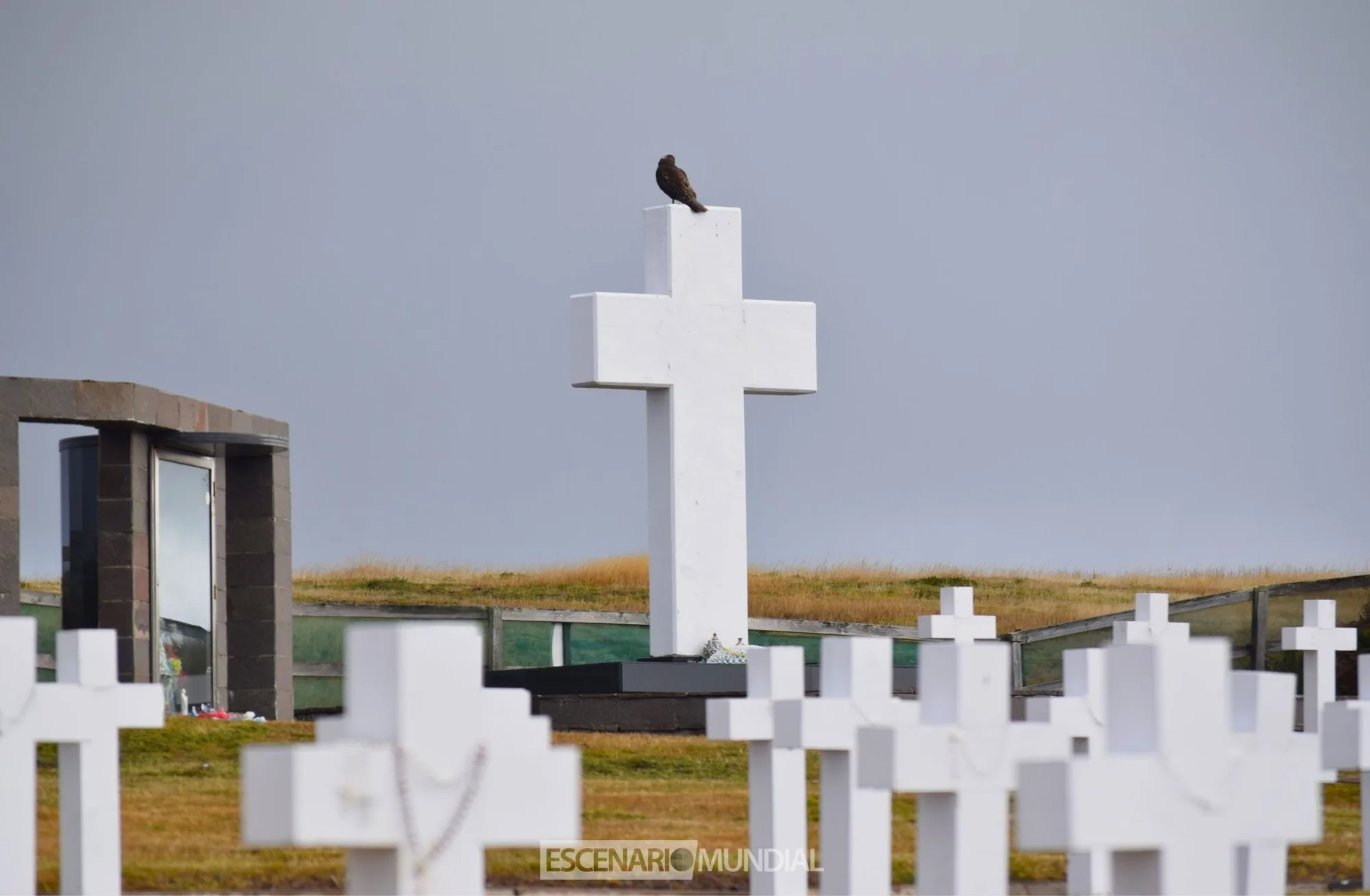Cementerio argentino en Darwim, Islas Malvinas. Crédito: Alejo Sanchez Piccat / Escenario Mundial 