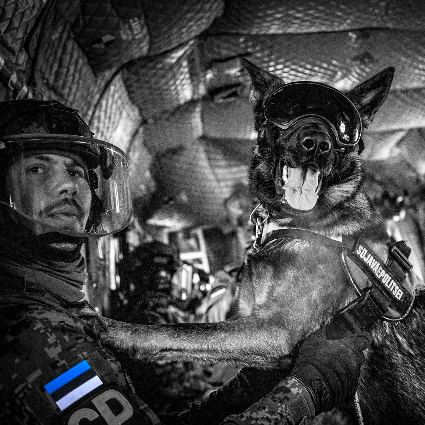 Soldado estonio con parche de bandera nacional junto a un perro militar de la SOJAVÄEPOLITSEI. Créditos:
Mando Terrestre Aliado de la OTAN.