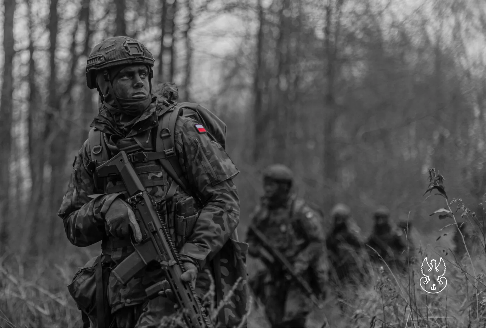 Polonia como aliado clave de la OTAN. Créditos: Mando Terrestre Aliado de la OTAN.