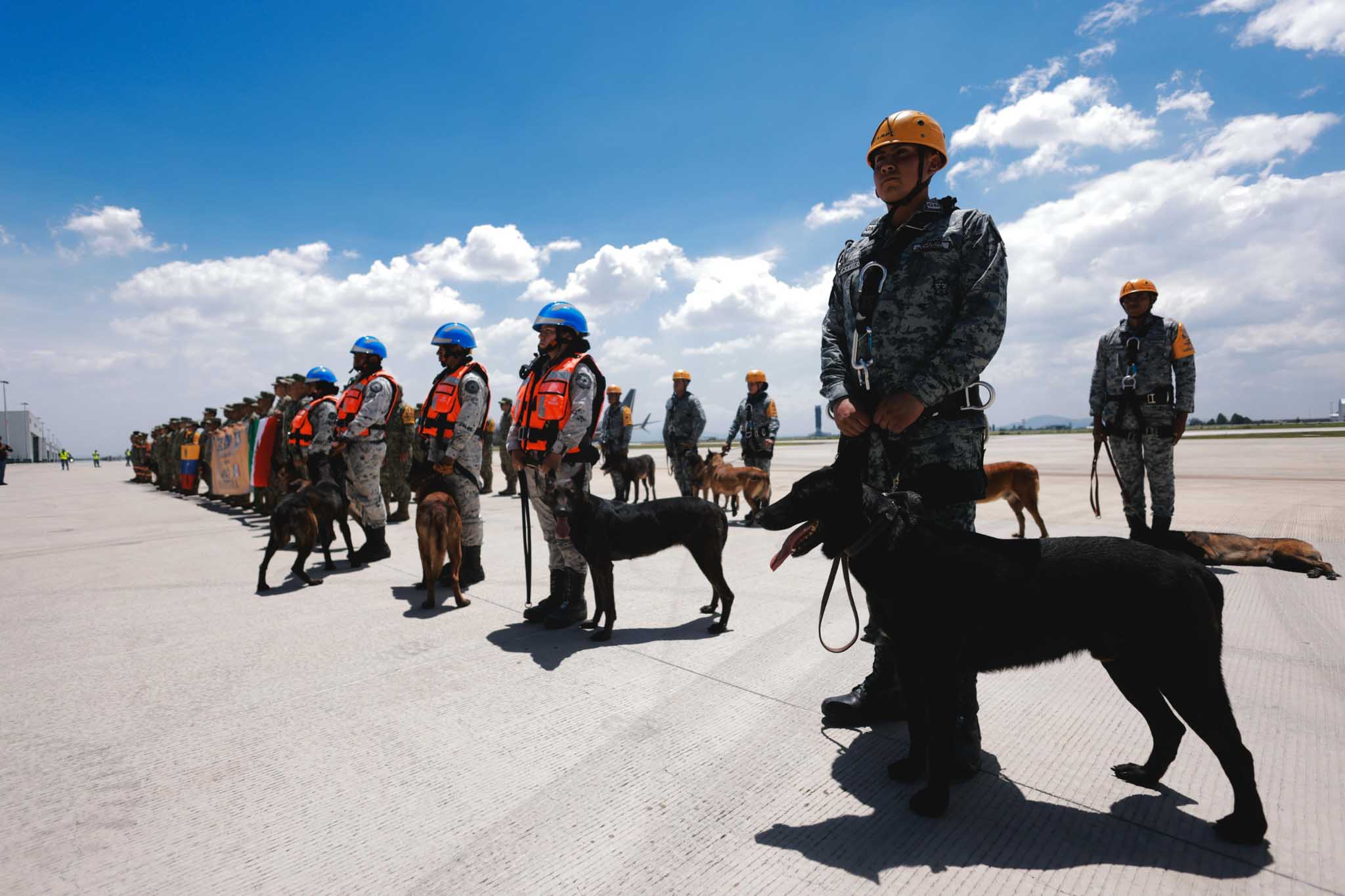 La SRE de México anuncia el envío de ayuda humanitaria al pueblo venezolano tras los fuertes sismos de magnitudes 7.2 y 7.5 del 24 de junio de 2026. El apoyo incluye 250 militares del Ejército Mexicano especializados en rescate, cinco perros entrenados, suministros médicos y cuatro aeronaves para operaciones de búsqueda y atención. Créditos: SRE.