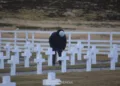Cementerio de Darwin, Islas Malvinas. Crédito: Alejo Sanchez Piccat / Escenario Mundial