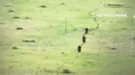 Un video difundido por canales especializados en seguimiento de la guerra muestra a efectivos de la unidad de reconocimiento rusa 417th ORB ejecutando un asalto contra posiciones defensivas ucranianas en la región de Zaporiyia utilizando motocicletas para aproximarse al objetivo. Créditos: Telegram Entre Guerras.