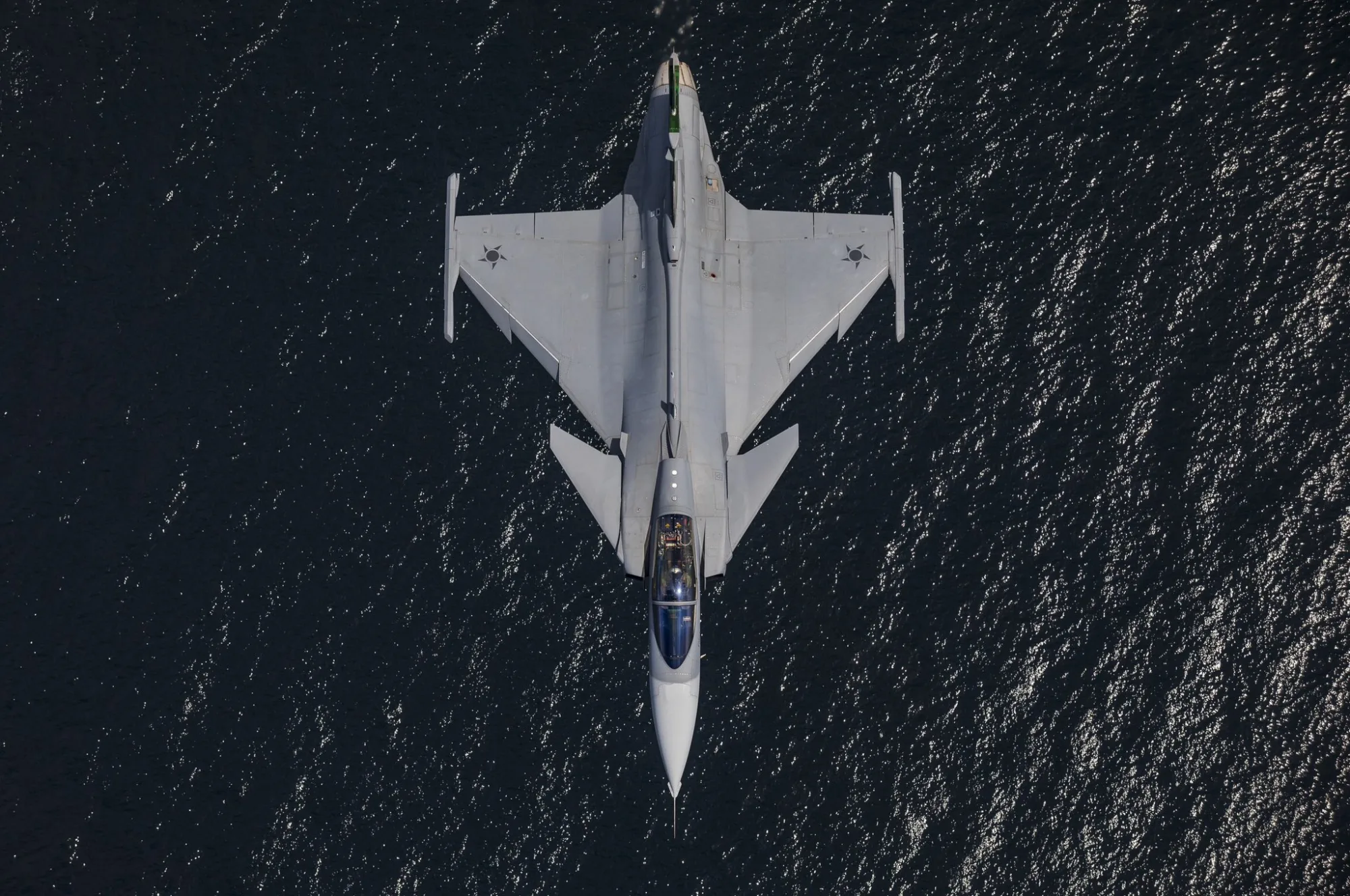 Gripen E/F de Saab. Créditos: Fuerza Aérea Brasileña.