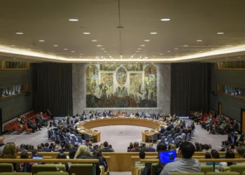 Consejo de Seguridad de la ONU