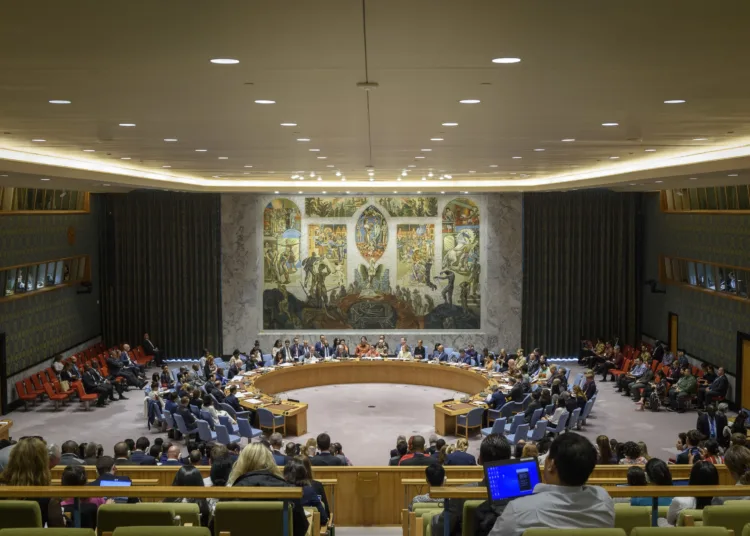 Consejo de Seguridad de la ONU