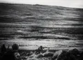 Ejercicios miliares del Reino Unido en las Islas Malvinas. Crédito: BFSAI