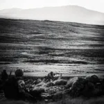 Ejercicios miliares del Reino Unido en las Islas Malvinas. Crédito: BFSAI