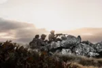 Ejercicios miliares del Reino Unido en las Islas Malvinas. Crédito: BFSAI