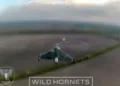 Dron de ataque ruso Geran-4 propulsado a reacción, visto a través del sistema de puntería de un dron interceptor ucraniano durante una operación de interceptación, 3 de mayo de 2026. Foto ilustrativa. Créditos: Wild Hornets.