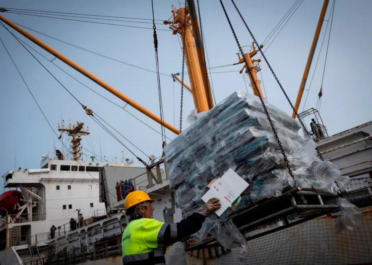 Un trabajador portuario descarga calamares de las Islas Malvinas en el puerto de Vilagarcía de Arousa, España. Fotografía: Miguel Riopa/AFP/Getty Images