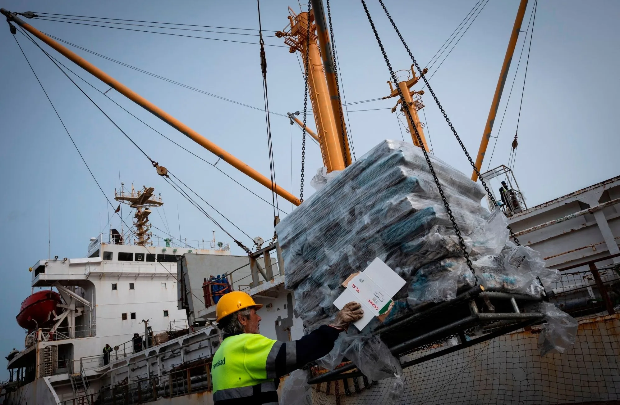 Un trabajador portuario descarga calamares de las Islas Malvinas en el puerto de Vilagarcía de Arousa, España. Fotografía: Miguel Riopa/AFP/Getty Images