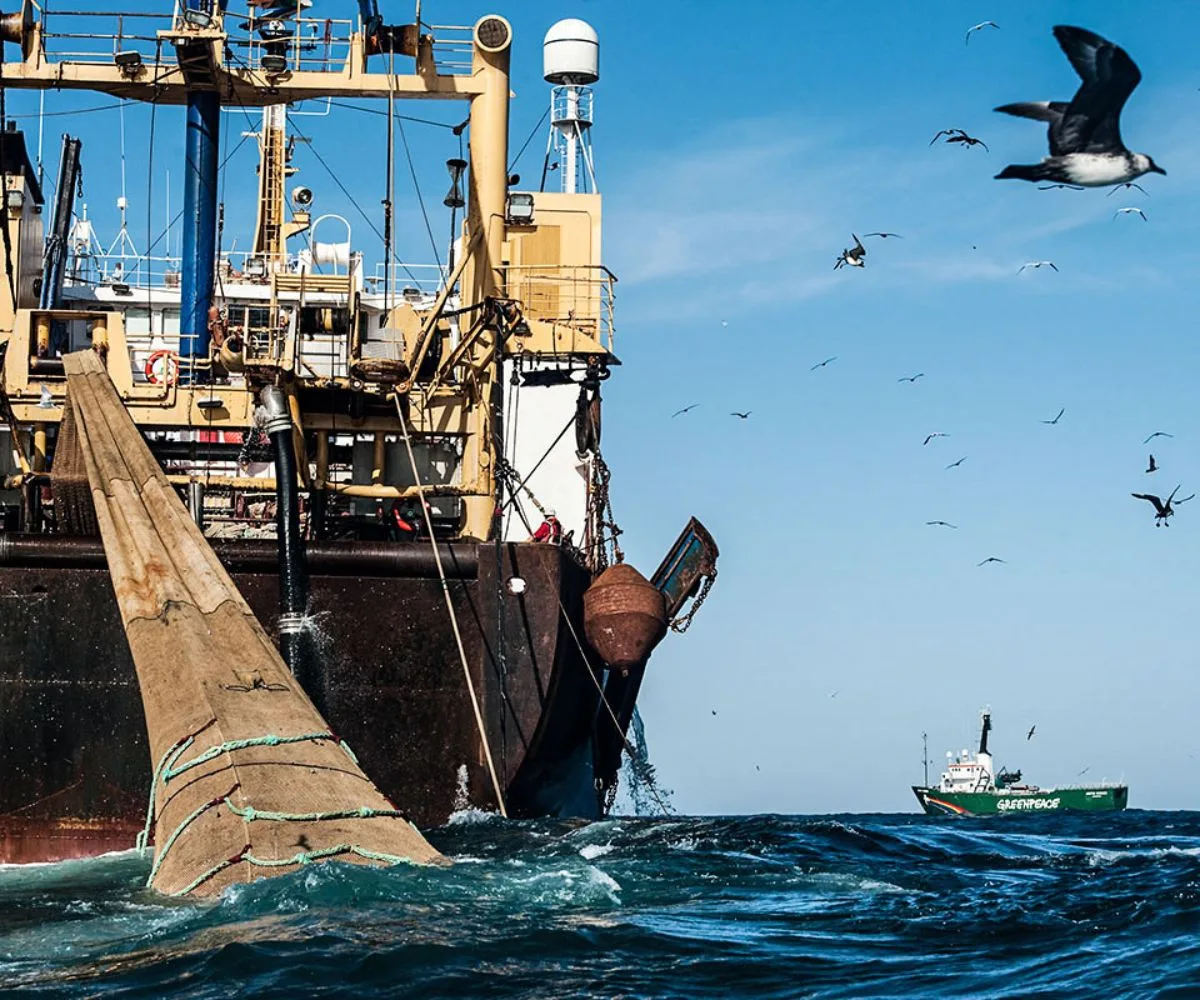 Un buque practicando pesca ilegal en Malvinas, bajo licencia británica