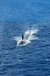 El submarino de ataque de clase Virginia USS North Carolina (SSN 777) navega en formación frente a la costa de Hawái durante el ejercicio Rim of the Pacific (RIMPAC) 2024, el 22 de julio. Créditos: Armada de los EE. UU.
