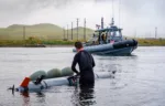 Vehículo no tripulado submarino Mk 18 Mod 2 Kingfish para contramedidas de minas. Imagen: Marina de los EE. UU.