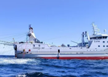 El arrastrero "Hadassa Bay" trabaja en el caladero de Malvinas