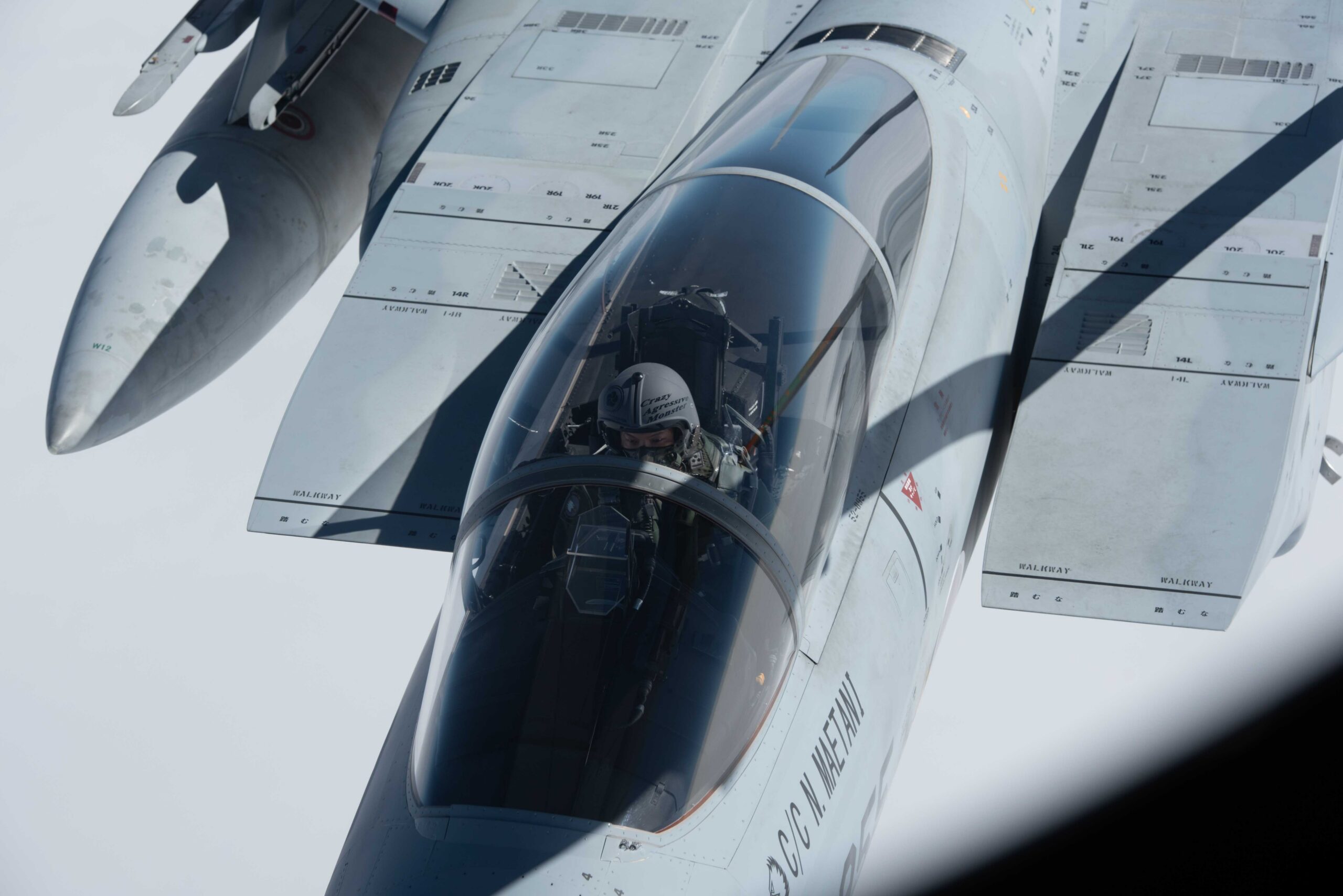 F-15J Eagle de la Fuerza Aérea de Autodefensa de Japón. Créditos: Yosselin Campos / Fuerza Aérea EE.UU.